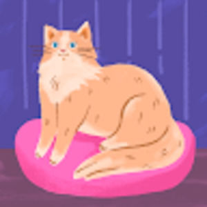 Meet your Posher, Jaclyn